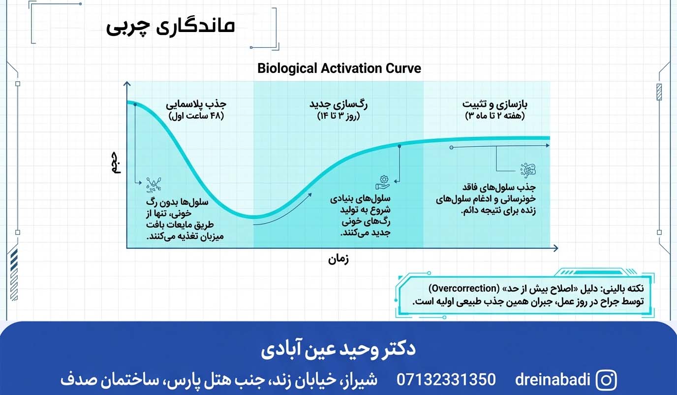 اینفوگرافیک ماندگاری تزریق چربی صورت و بدن
